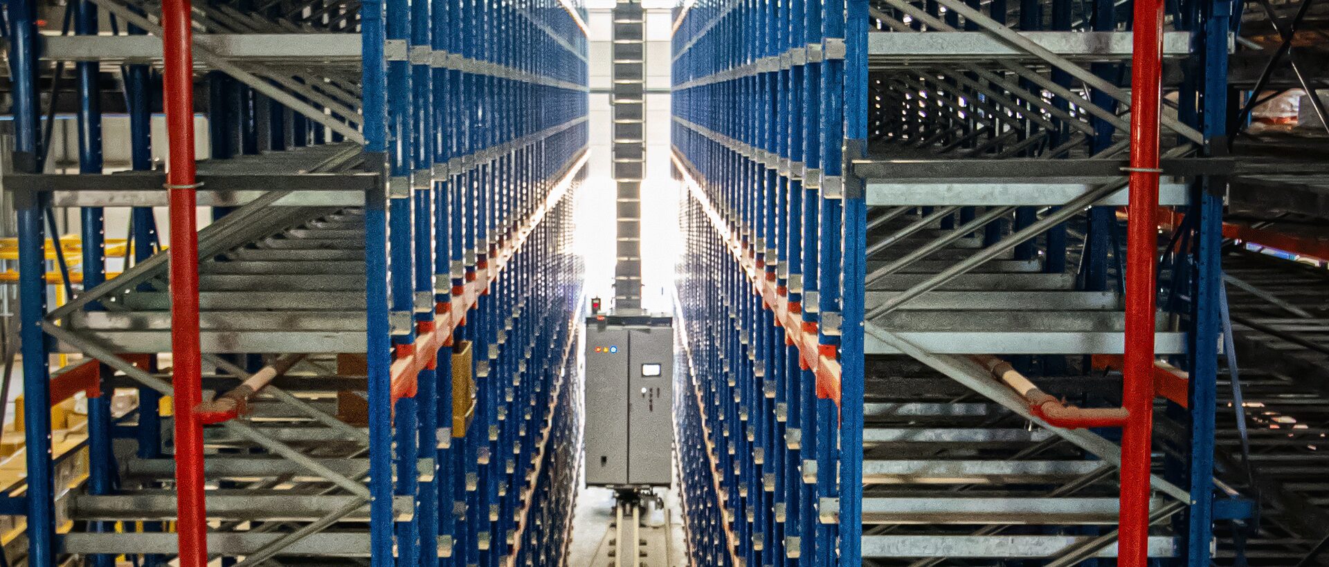 Crane ASRS: Skyron