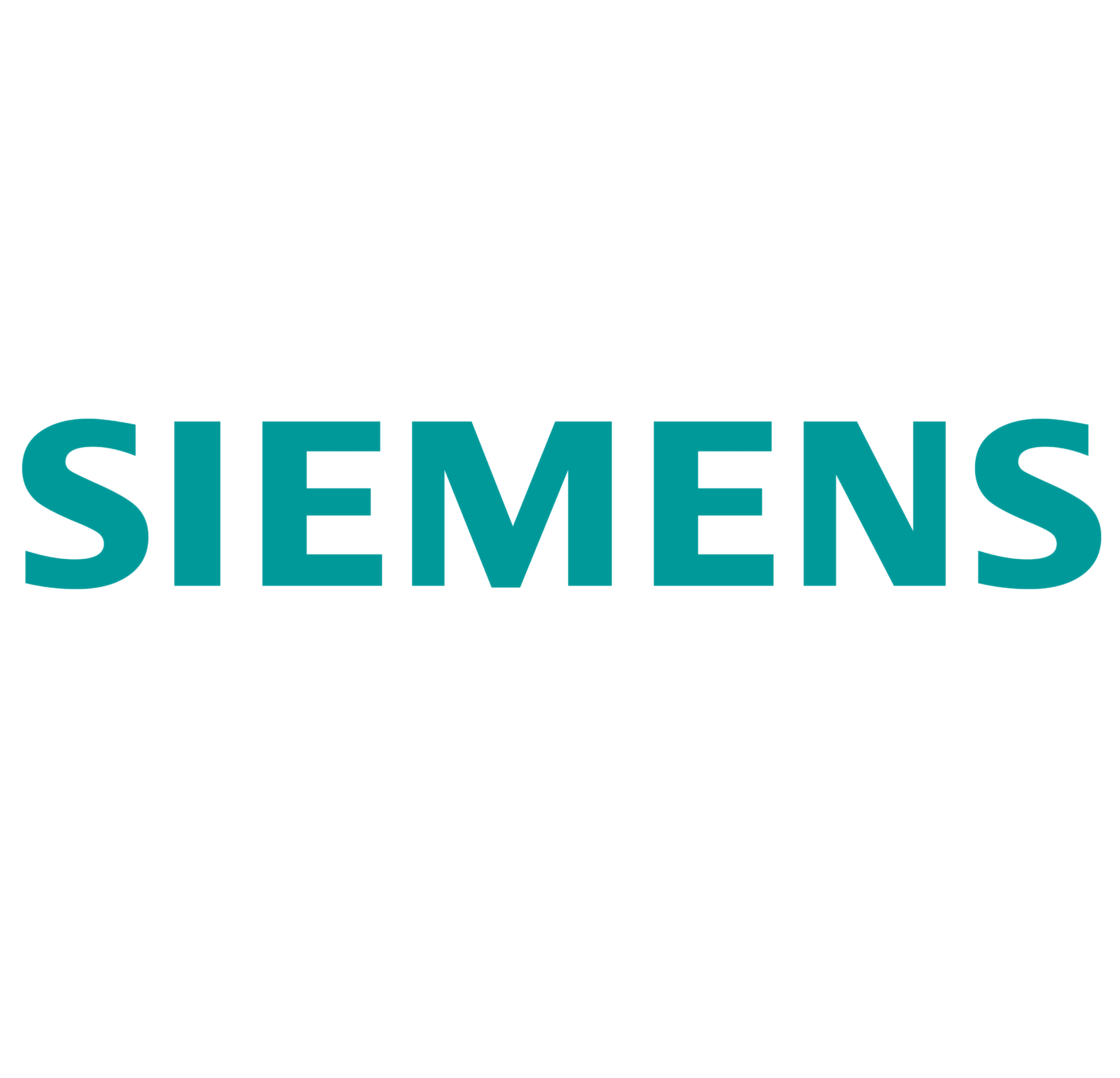 Partner Icon