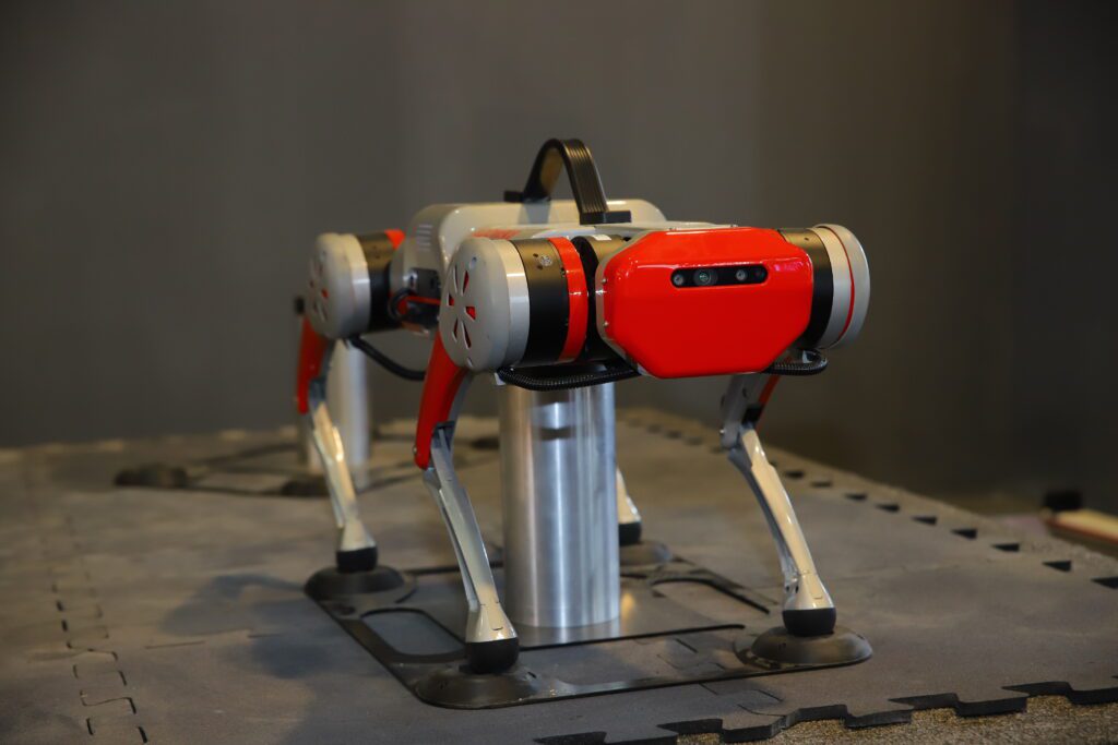 Robotic dog 