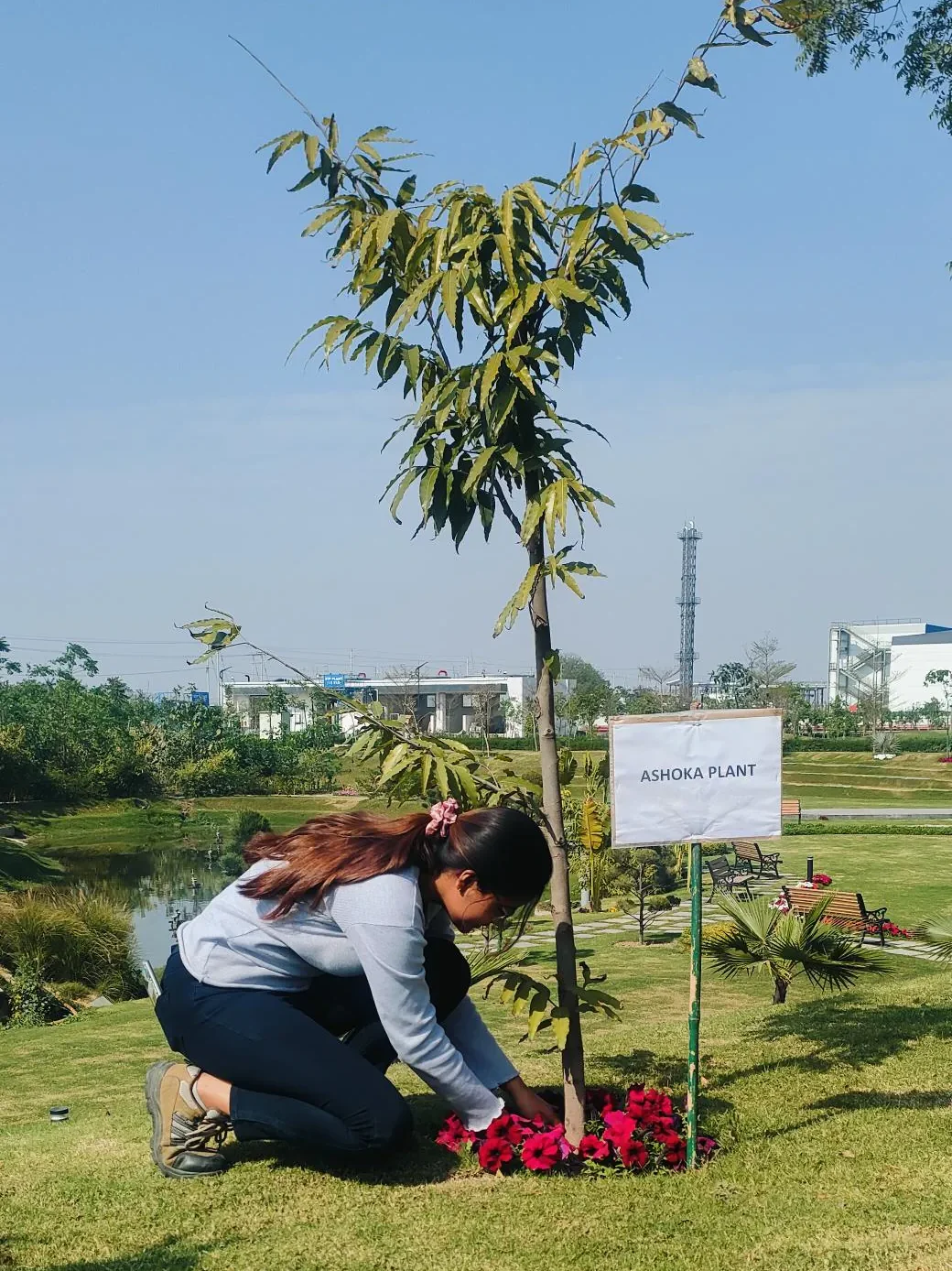 miyawaki-plantation-at-addverb-botverse